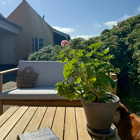 Vakantiehuis Light-filled By Skagen's Dunes Skagen