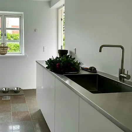 Light-filled By Skagen's Dunes *