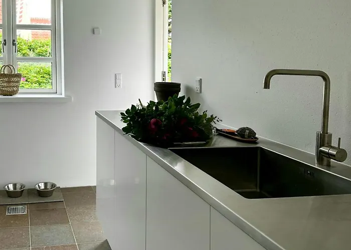 Light-filled By Skagen's Dunes *