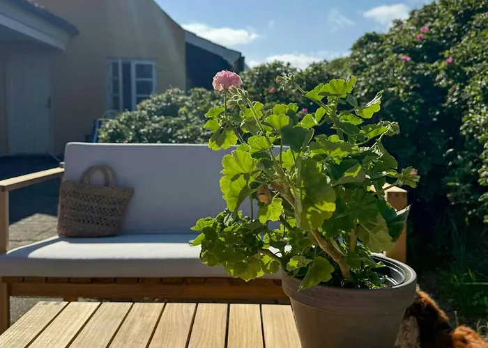 Casa vacanze Light-filled By Skagen's Dunes Skagen